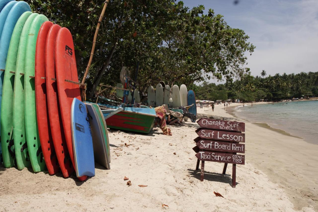 ホテル Surf Nest Hiriketiya ディックウェラ エクステリア 写真