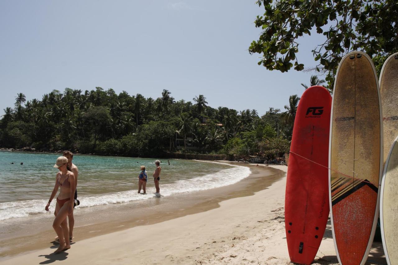 ホテル Surf Nest Hiriketiya ディックウェラ エクステリア 写真